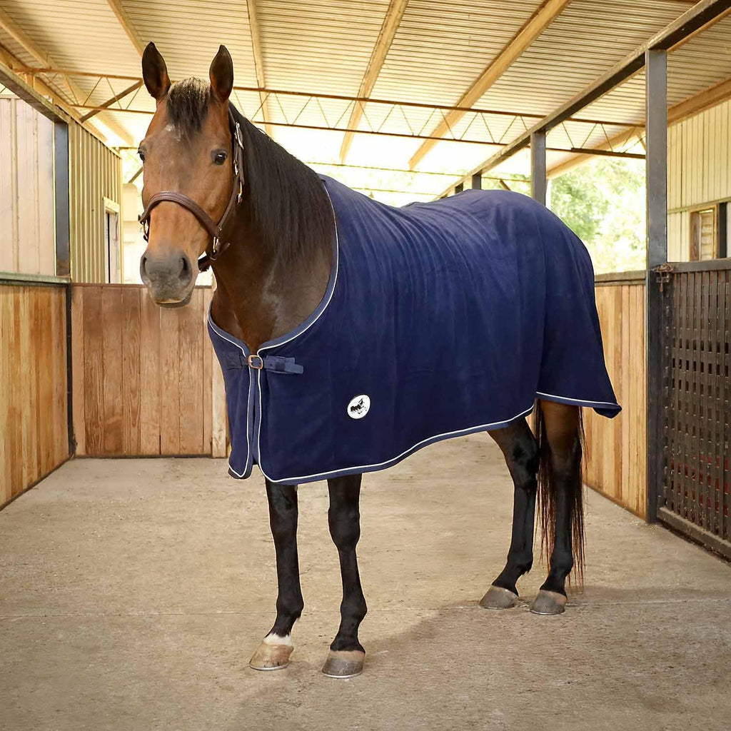 Crisscross surcingle straps on Jeffers horse blanket for secure fit