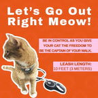 Travel Cat retractable leash displayed alongside outdoor cat travel accessories.