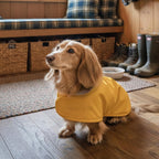 Hudson Hound yellow small dog coat emphasizing the weather protected harness opening flap.