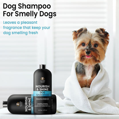 Two 16 fluid ounce bottles of Alfie's Choice dog wash for smelly dogs and coat maintenance.