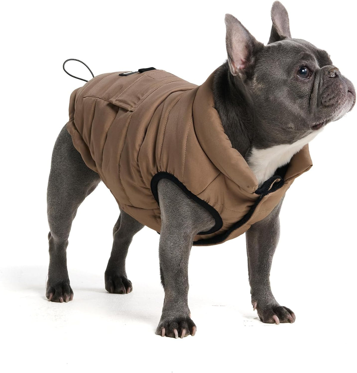 Spark Paws Dog Winter Jacket, Water-Resistant Coat, Warm Reflective Windproof Fleece-Interior, for Medium and Large Dogs - Olive - S - Image 11