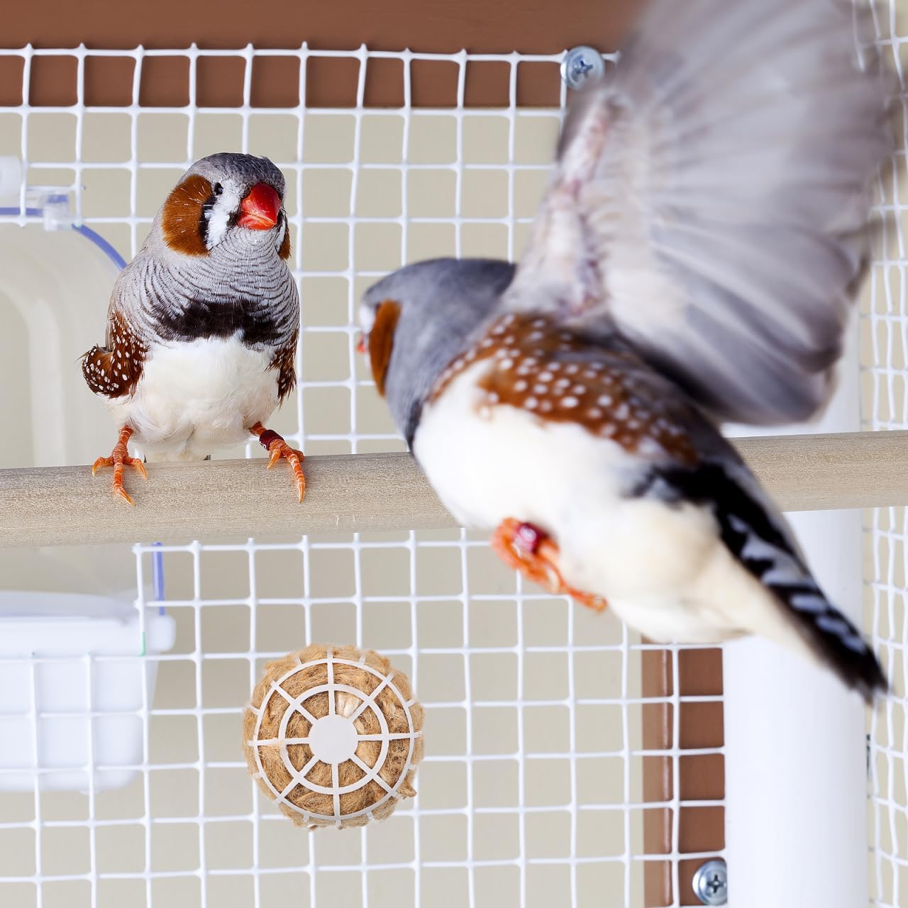 Supvox bird nesting supplies for finches and canaries