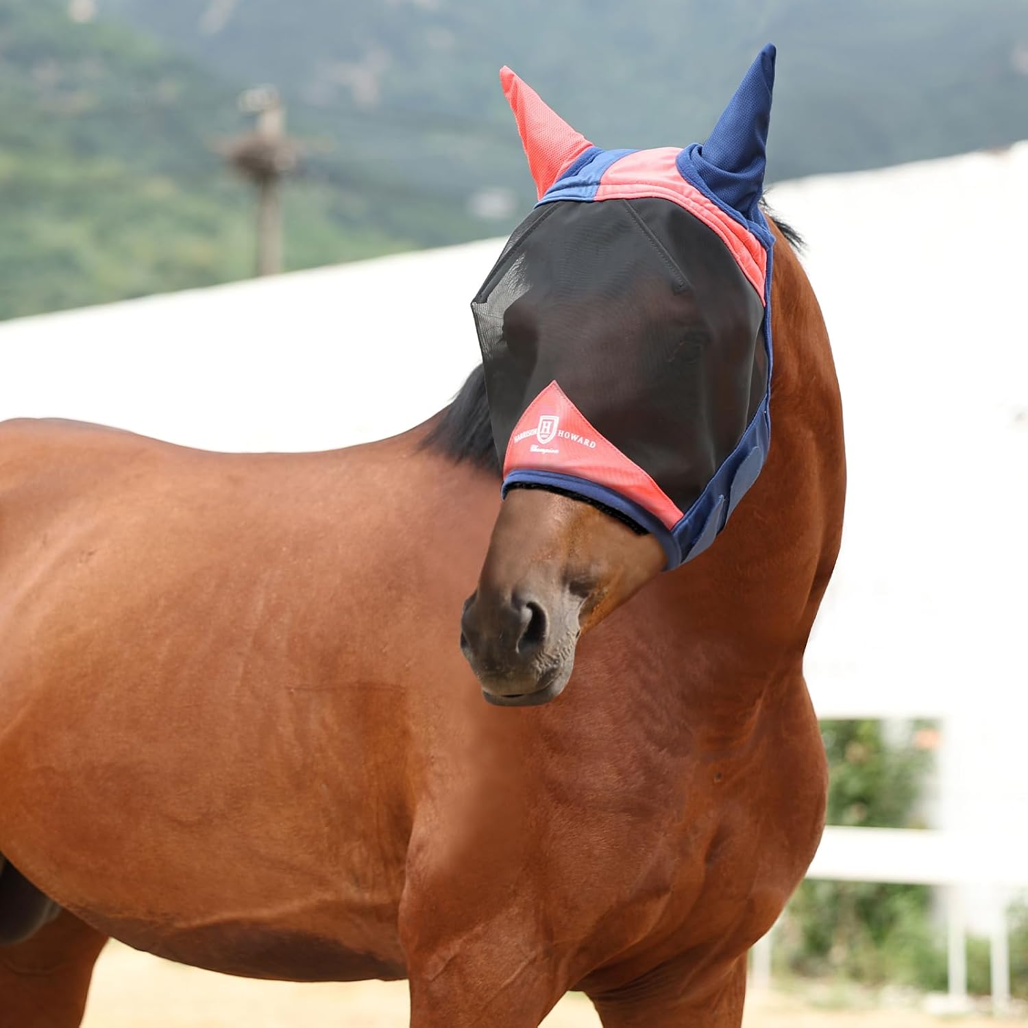 Luminous piping detail on the fly mask for low light visibility