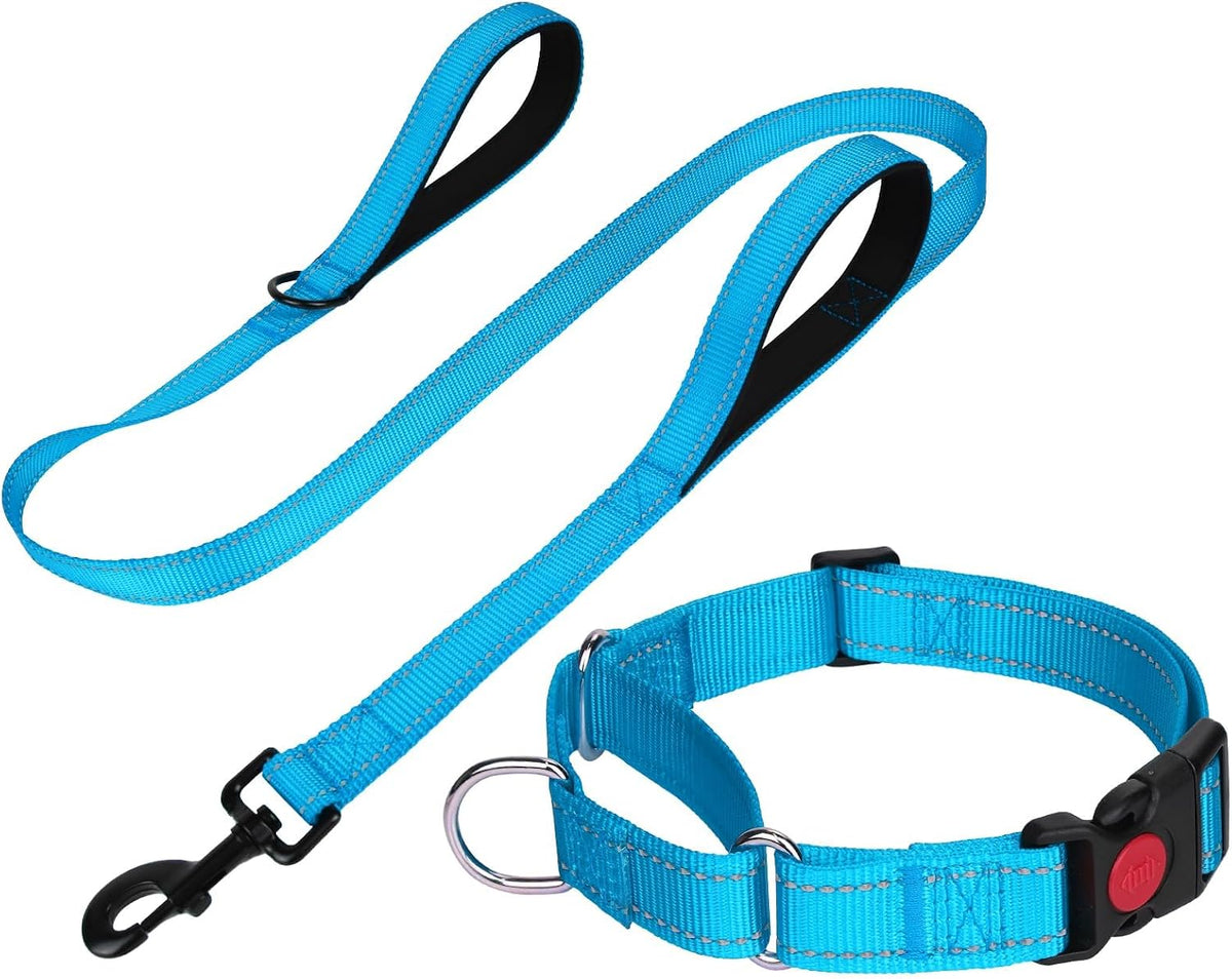 FunTags premium imported pet collar set showcasing double sided reflective stitching