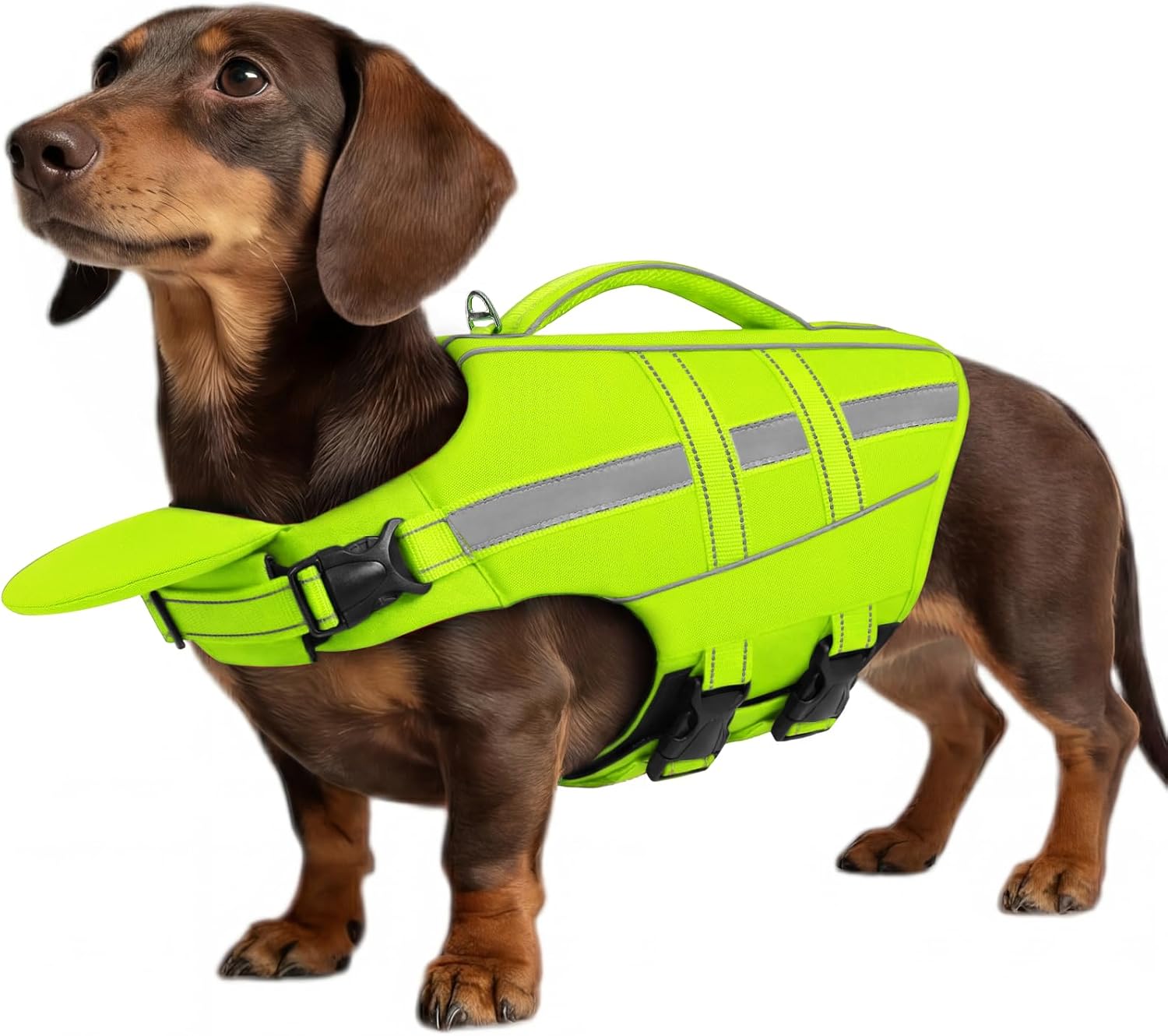 Asenku dog life jacket front view high buoyancy green small swim vest