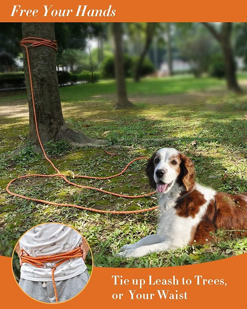 Lanwandeng weather resistant pet training rope coiled for storage.