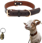 CWYZA genuine leather goat collar front view with brass bell