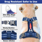 Small blue dog harness with metal snap detail