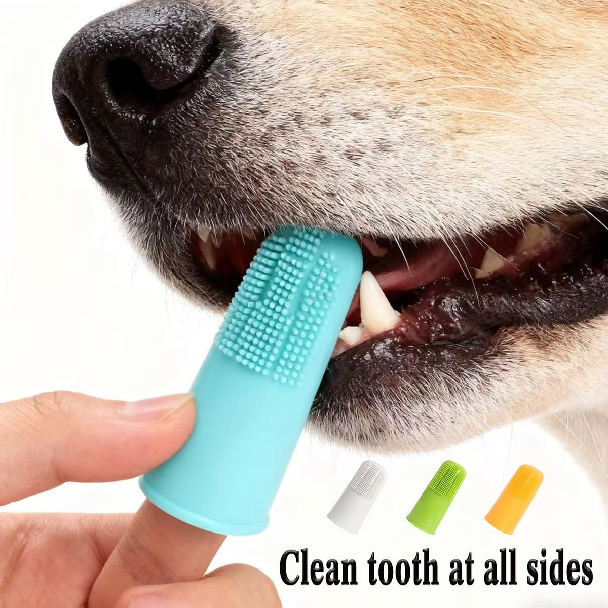 Ymccool double ended dental brush for dog back teeth