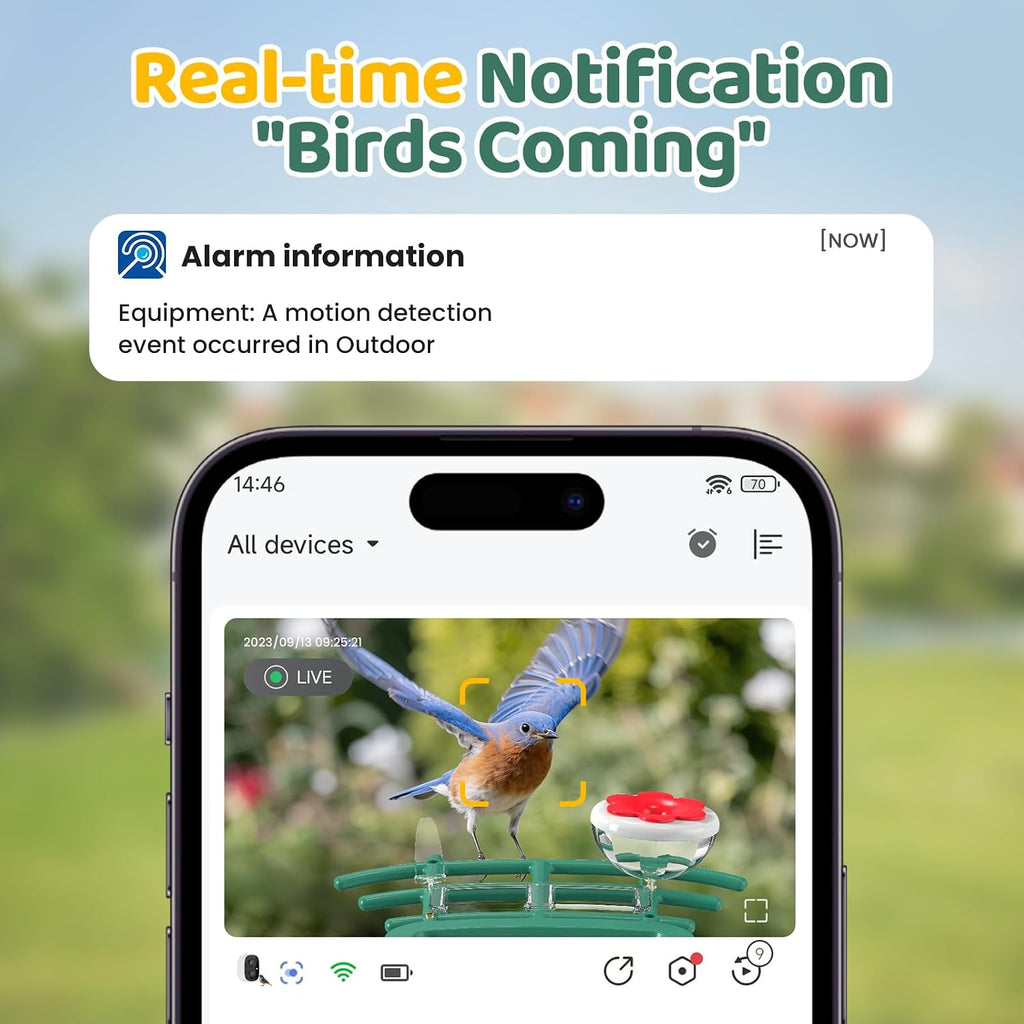 Bird Feeder with Camera Outdoor Solar: Smart Birdfeeder with AI Recognition - 2K HD Live Stream Video Camera for Outside Wild Birds Garden Decor - Bird Lover Gifts - Image 2