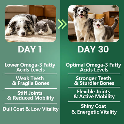 Imported USA premium pet health supplement packaging highlighting the natural omega three benefit icons