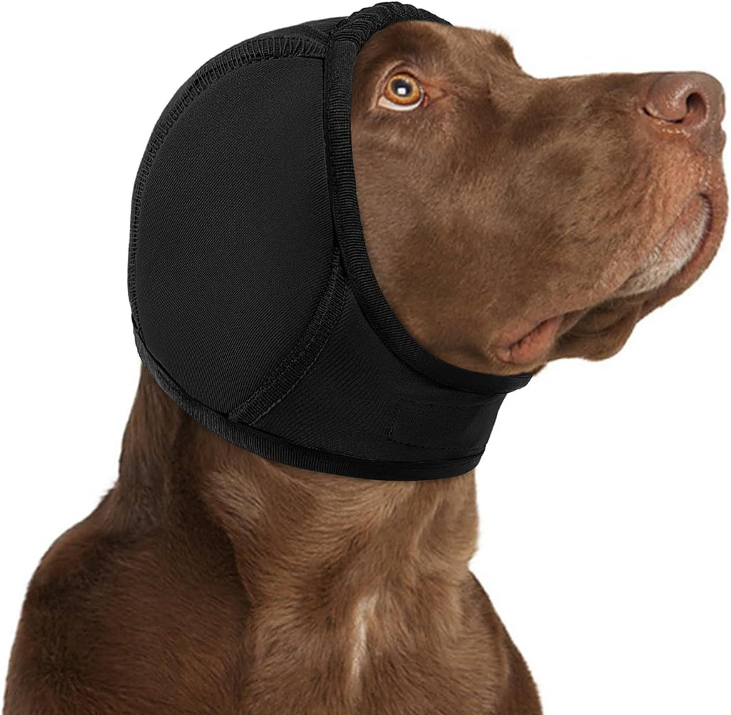 Large breed dog wearing grey KOESON anxiety wrap during a grooming session