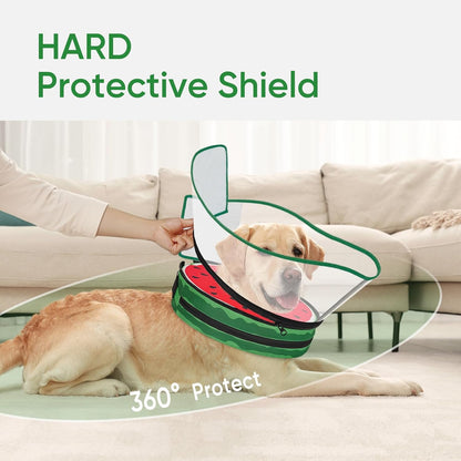 Watermelon pattern soft dog recovery donut with clear protective shield