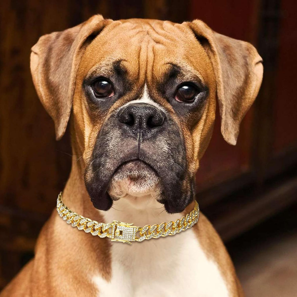 Goetltsch eight inch gold crystal pet jewelry collar displayed flat to show the complete link pattern and buckle craftsmanship.