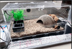 Reptile heat mat plugged in with indicator lights active.
