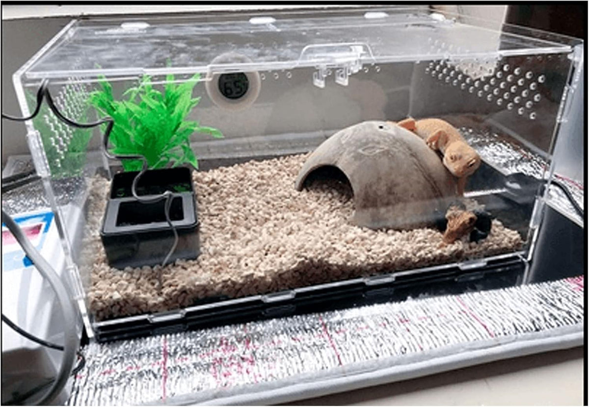 Reptile heat mat plugged in with indicator lights active.