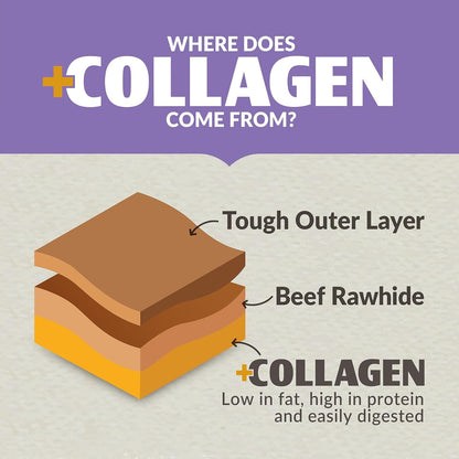 Nutrient rich gluten free dog treats packaging back panel with ingredient information and chewing benefits
