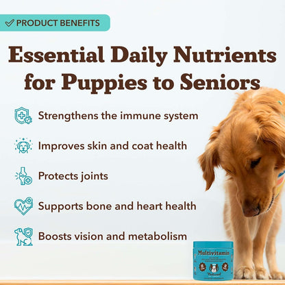 Natural Dog Company 25-in-1 Multivitamin for Dogs - Vet-Formulated Soft Chews for Puppies, Adults & Seniors, Supports Joints, Skin, Coat, Immune & Heart Health, NASC Certified, 90 Count - Image 9