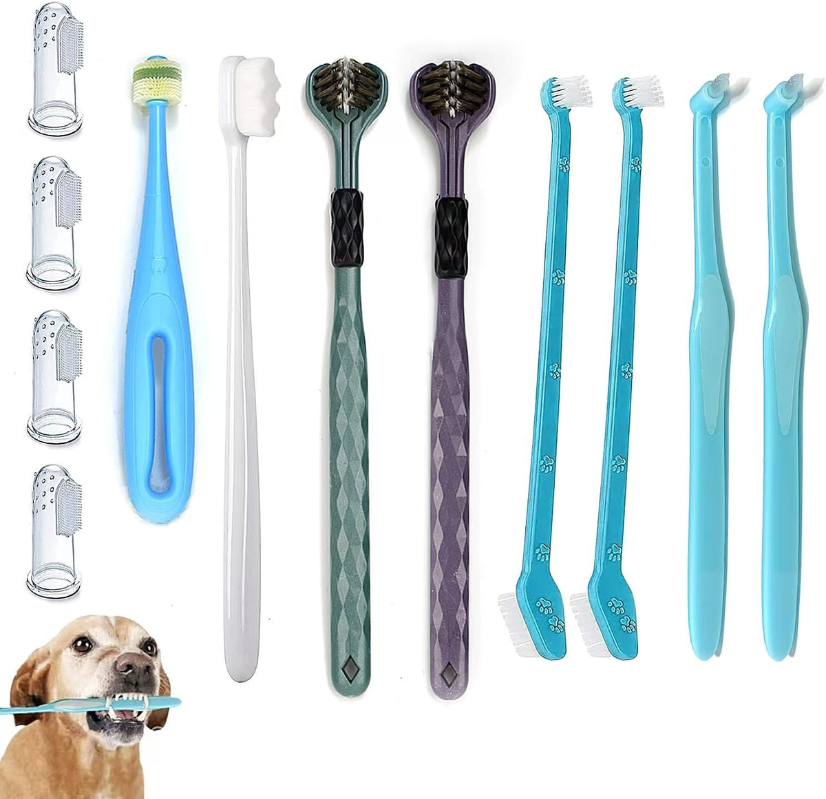 Blue Large size dog toothbrush set packaging