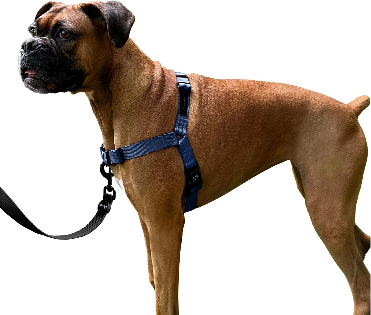 ShawnCo Dream Walk No-Pull Dog Harness- Adjustable, Comfortable, Easy to Use Pet Halter to Help Stop Pulling for Small, Medium and Large Dogs (Oceanic Blue, L) - Image 15