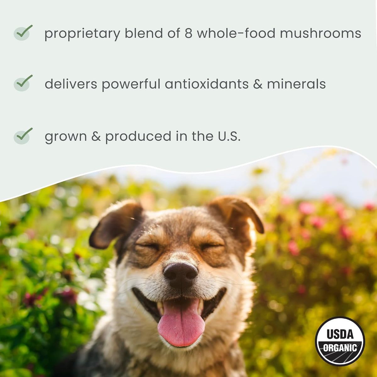 Dr. Mercola Bark And Whiskers Organic Fermented Mushroom Blend ingredients breakdown