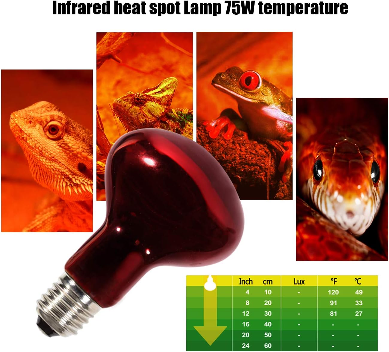 Two pack of red infrared heat emitter bulbs with the included stick-on digital thermometer.
