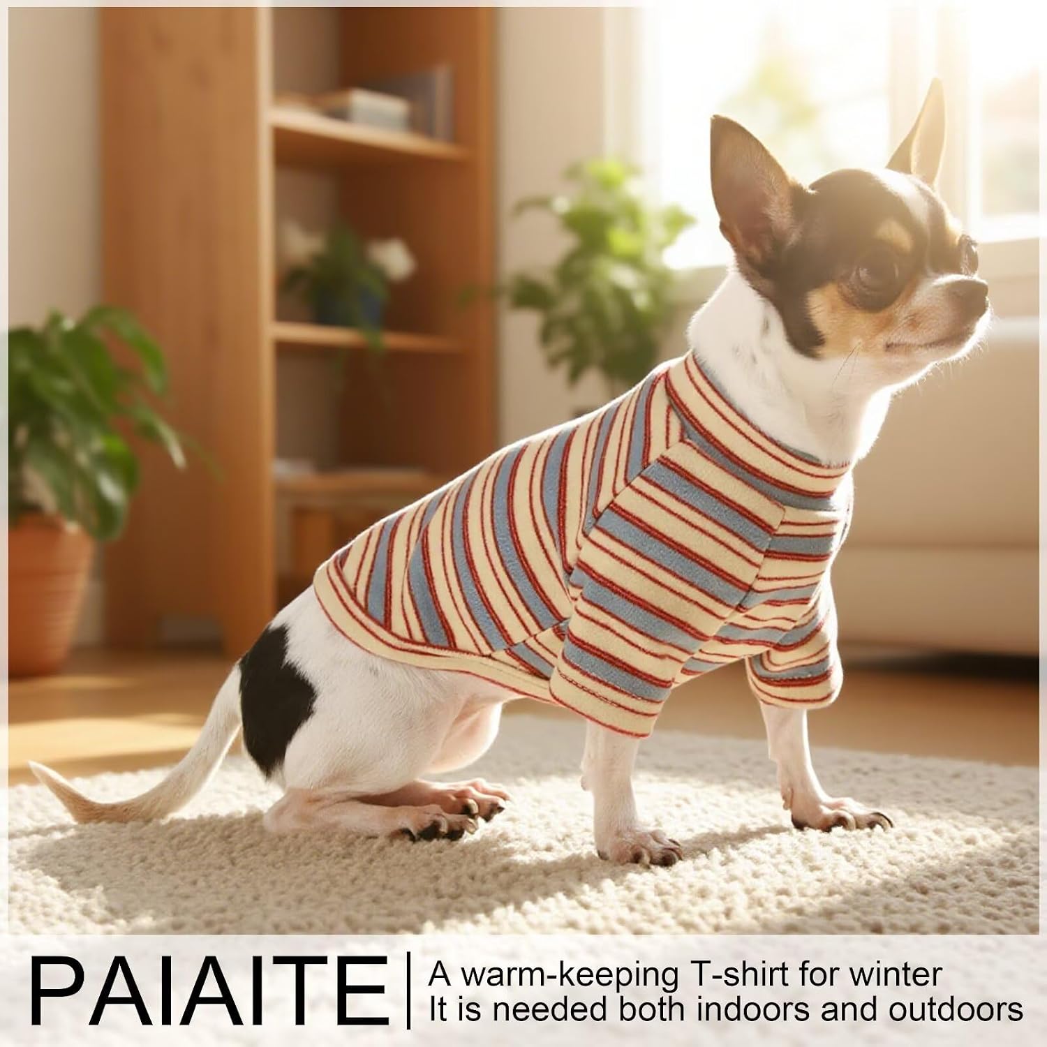 Group of dogs modeling Paiaite comfortable pet shirts
