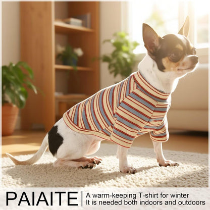 Group of dogs modeling Paiaite comfortable pet shirts
