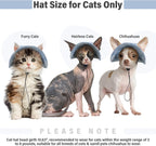 Rear view of cat wearing breathable cotton bucket hat