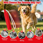 Vibrant red Holoras pet training bumper floating in a pool