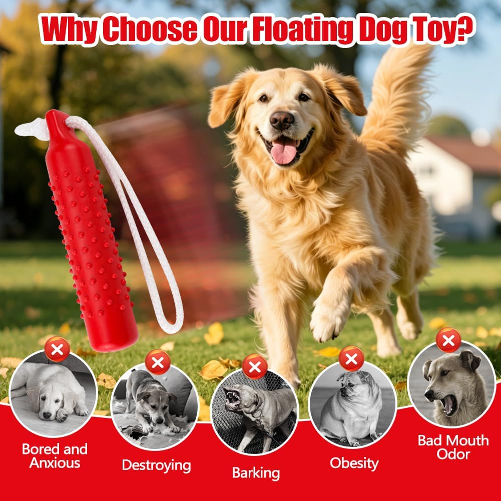 Vibrant red Holoras pet training bumper floating in a pool