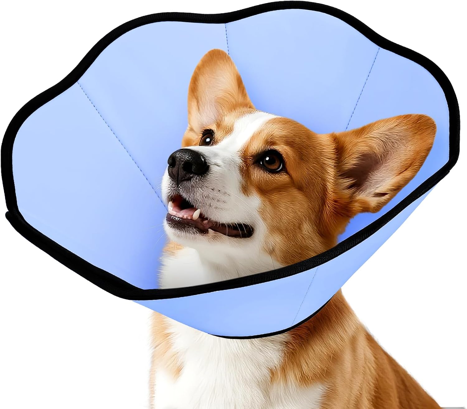MIDOG Dog Cone Collar After Surgery, Soft Dog Cone Alternative to Stop Licking,Adjustable Elizabethan Recovery Cones for Small to Large Sized Dogs - Image 14