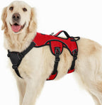 rabbitgoo Escape Proof Dog Harness, Soft Padded Full Body Pet Harness, Reflective Adjustable No Pull Vest with Lift Handle and Leash Clip for Large Dogs Walking Hiking Training, L, Black - Image 15