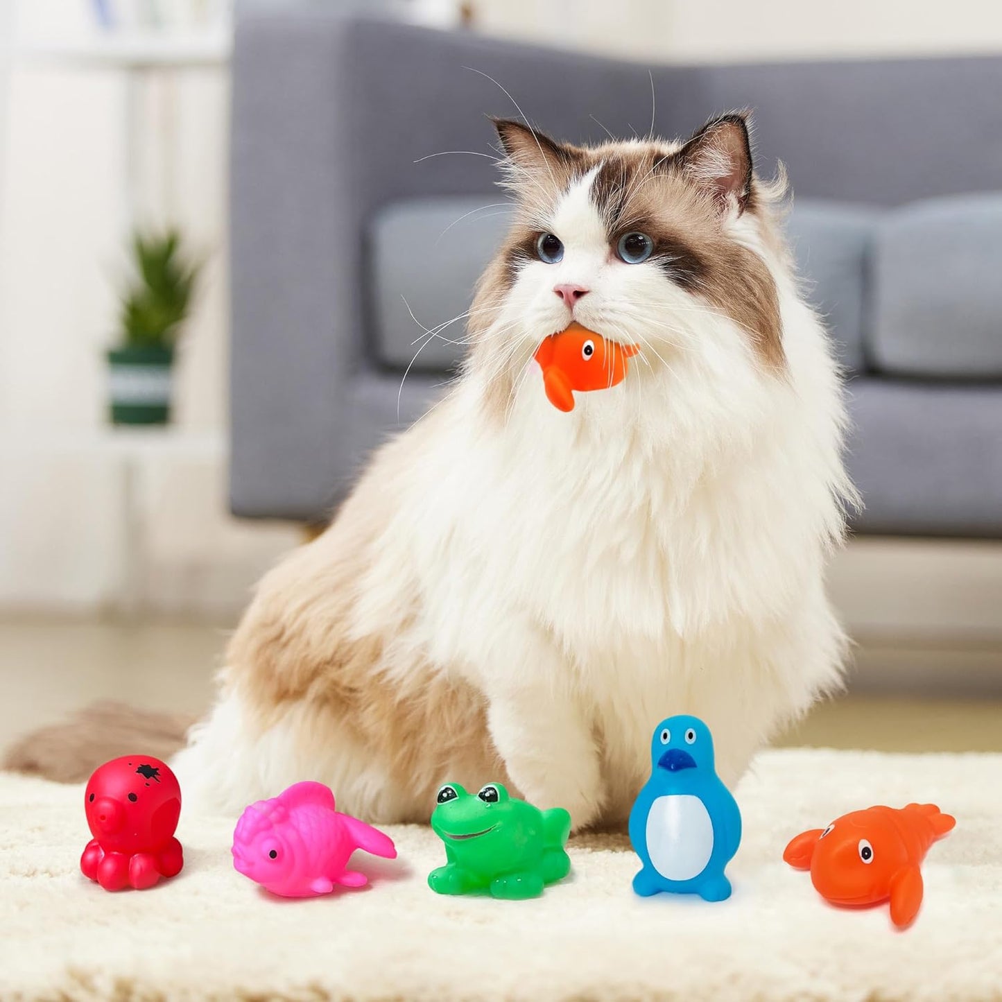 Yopetox cat water play pool with six floating fish toys for indoor feline enrichment.
