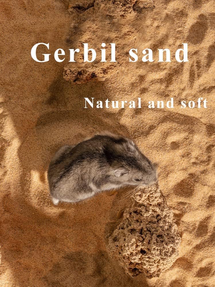 Clean natural sand suitable for chinchilla grooming