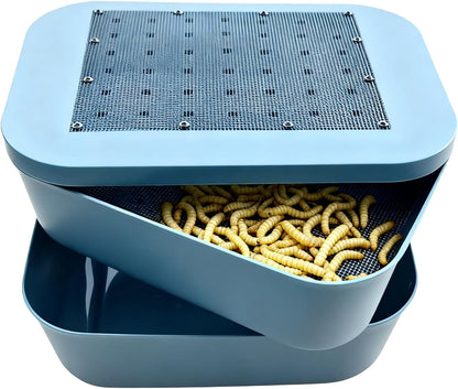 Zmiyivara mealworm breeding kit front view