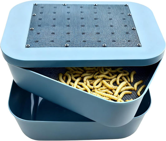 Zmiyivara mealworm breeding kit front view