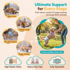 Premium metal clips and leather attachment points on pet diaper suspenders