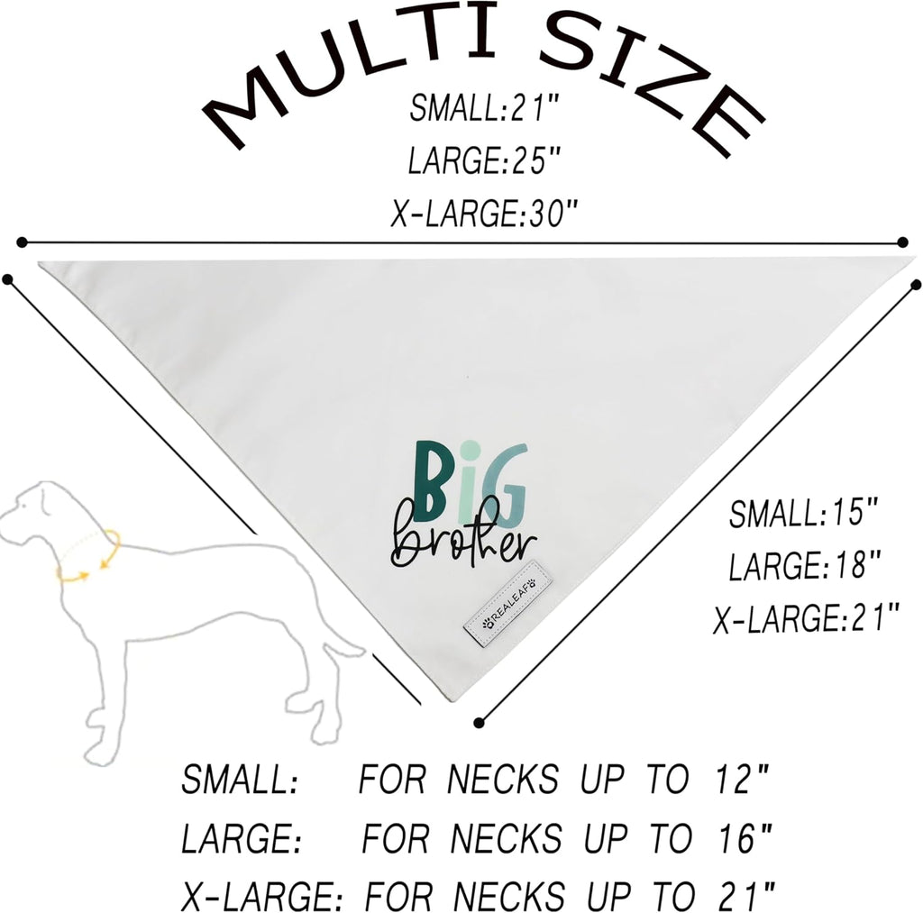 Small dog wearing Realeaf Big Brother pregnancy reveal scarf
