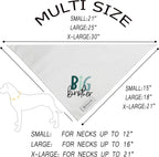 Small dog wearing Realeaf Big Brother pregnancy reveal scarf