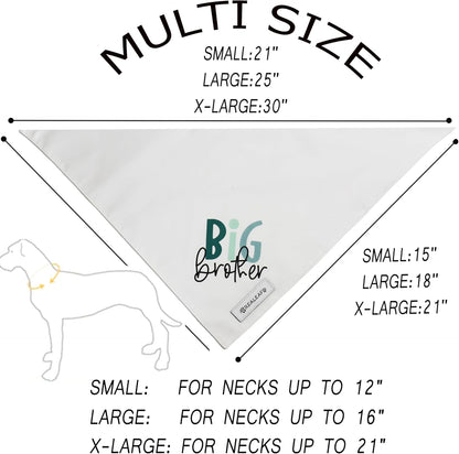 Small dog wearing Realeaf Big Brother pregnancy reveal scarf