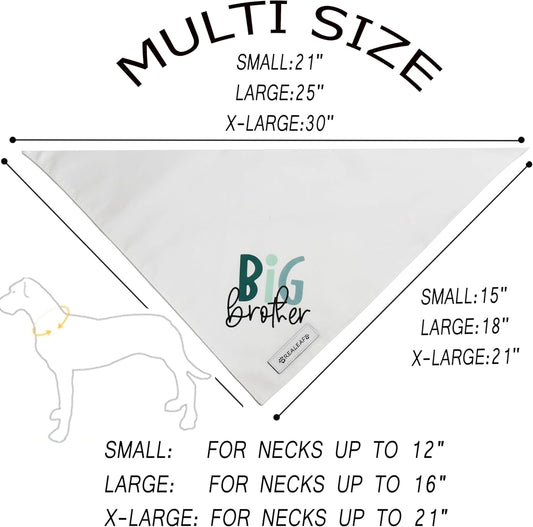 Small dog wearing Realeaf Big Brother pregnancy reveal scarf