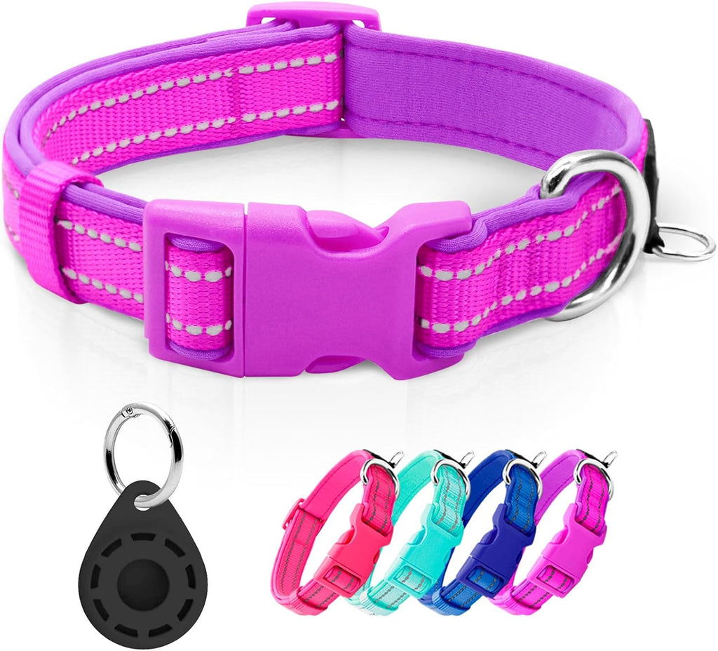 Durability test of Azuza nylon dog collar
