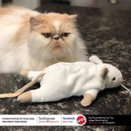 Packaging details of authentic USA imported Spot cat toy