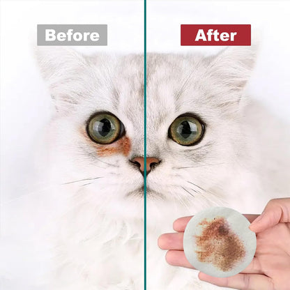 Groomer using 4U4ME4US tear stain remover wipe on a small puppy face