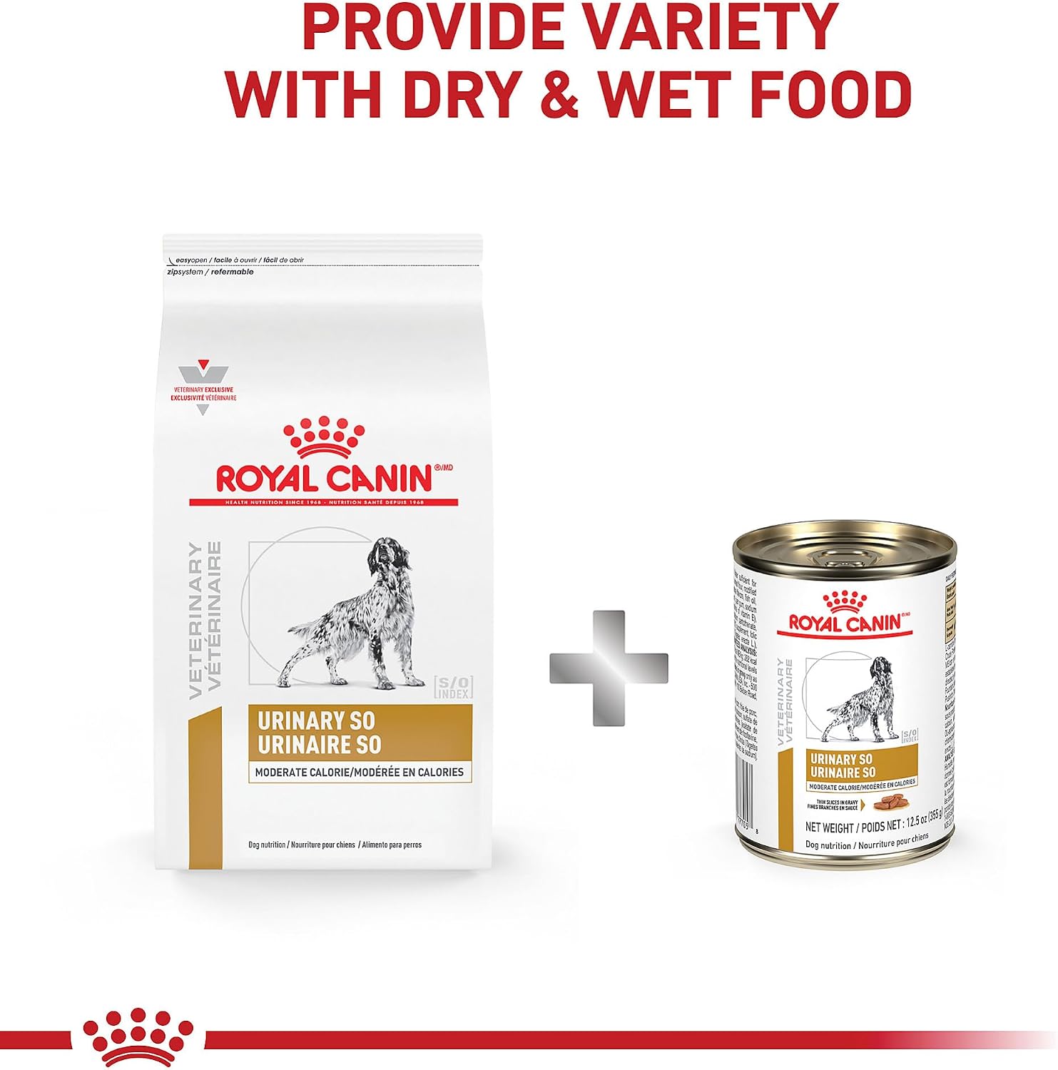 Authentic USA imported Royal Canin wet dog food twelve point five ounce can