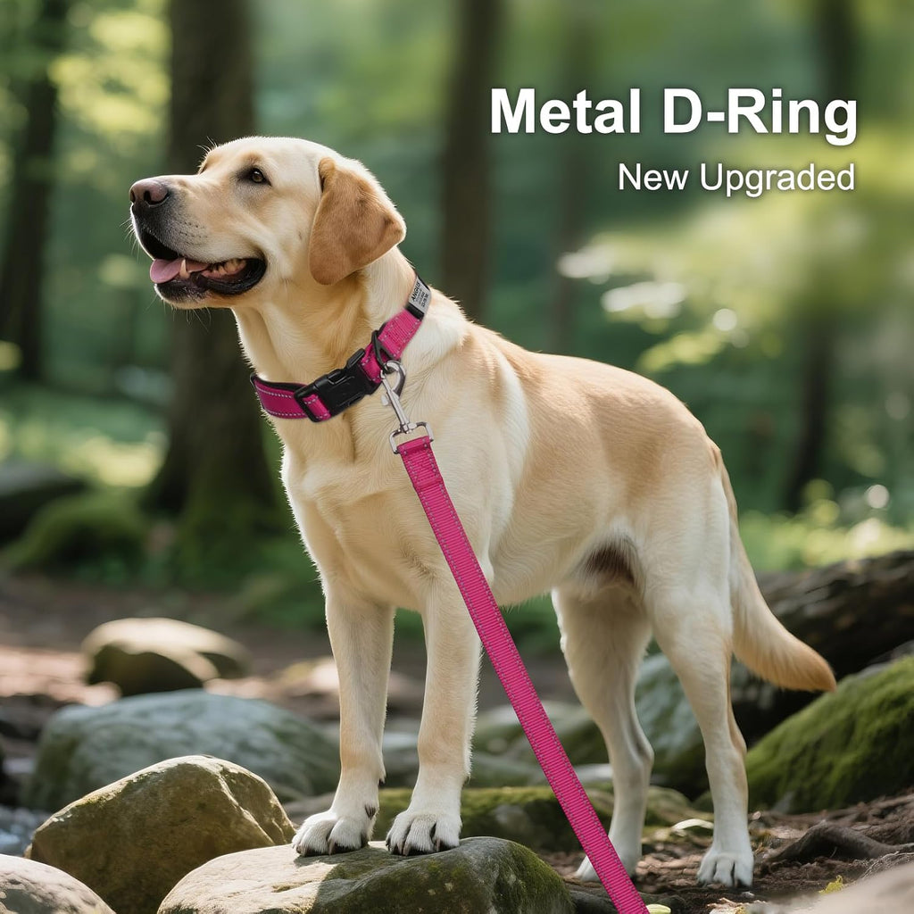 Close up view of Joytale reflective nylon dog collar stainless steel tag