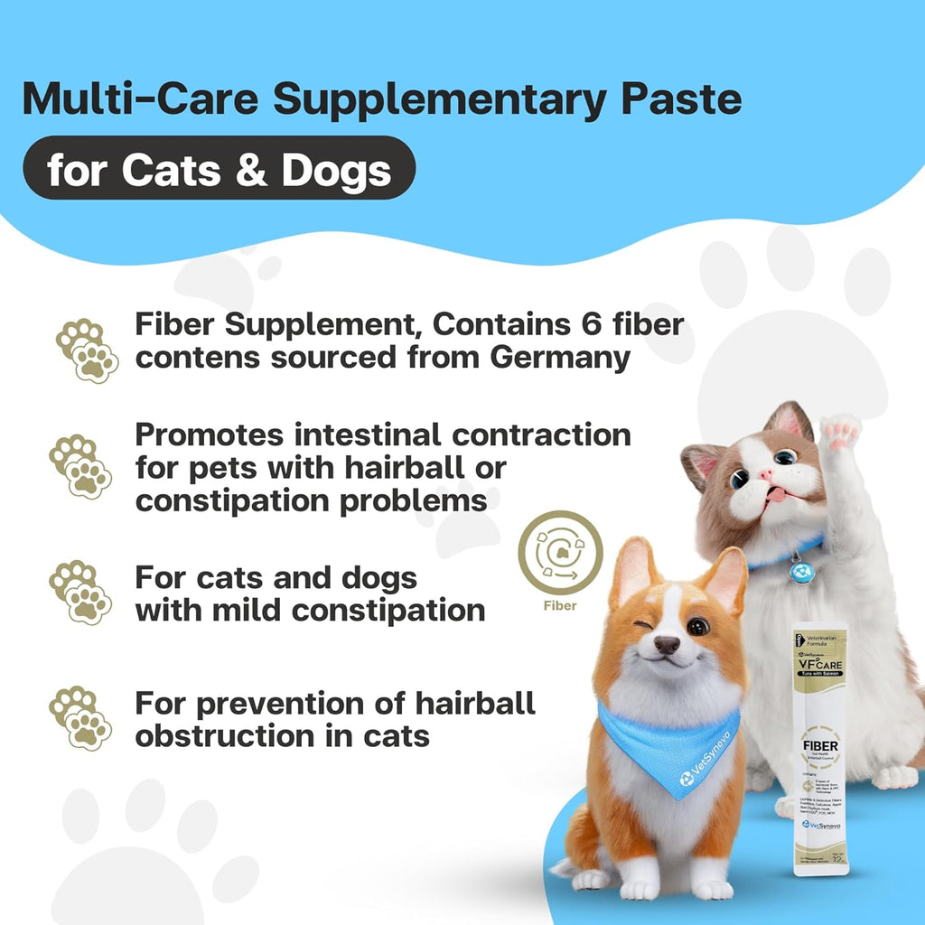 Veterinary approved prebiotics formula for pet gut health close up