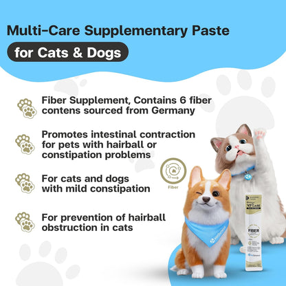 Veterinary approved prebiotics formula for pet gut health close up