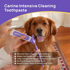 HICC PET EnzyPlex dog toothpaste tube showing beef and pumpkin flavor details